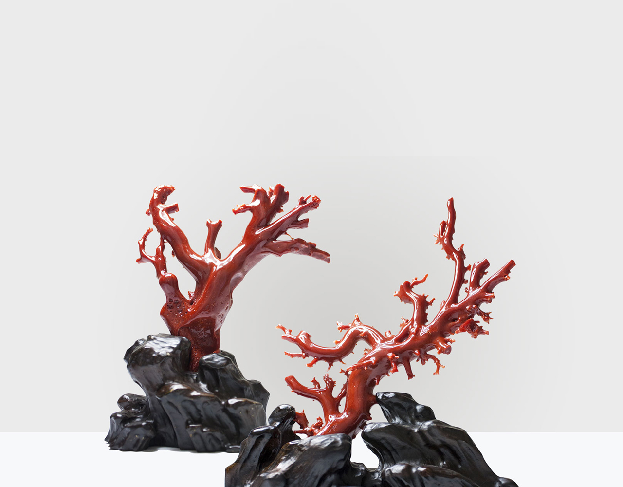 中国國寶珊瑚 Chinese Treasure-Coral of Luxor’s 中国國寶珊瑚 Chinese Treasure-Coral of Luxor's