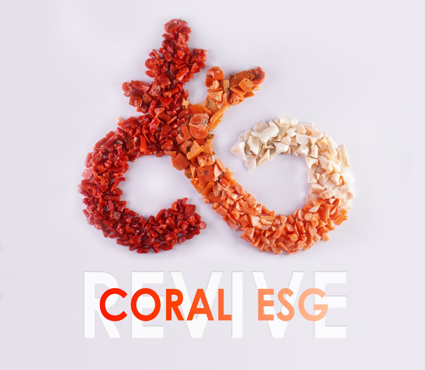寶石珊瑚永續發展 : ESG X SDGs